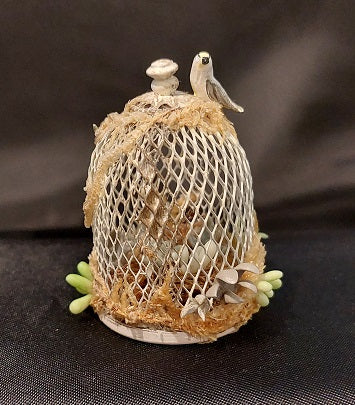 Succulent Cage with Bird