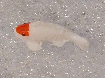 White Fish with Orange Spot Disc.