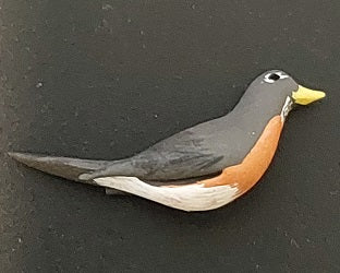 Robin Bird, Male Grey