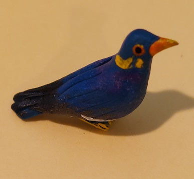 Hill Mynah Bird, Bright Blue