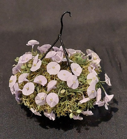 Petunia in Hanging Basket