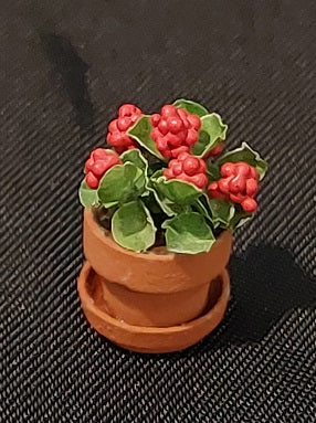 1/2" Scale Geranium in Terra Cotta Pot