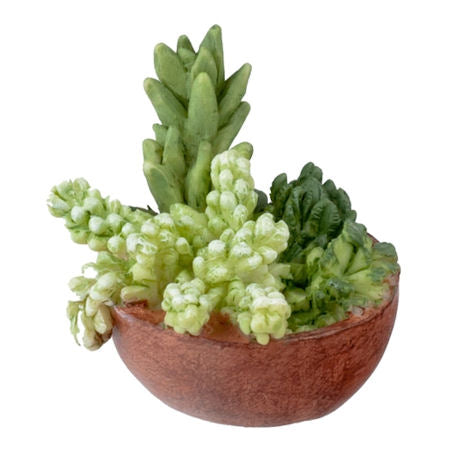 Succulent Planter Bowl