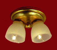 Two Lamp Ceiling Fixture