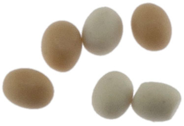 Eggs, 6pc