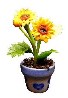 Sunflowers in Blue Designs Pot