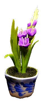 Purple Gladiolas in Blue Design Pot