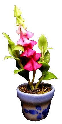 Pink Bell Flower in Blue Design Pot