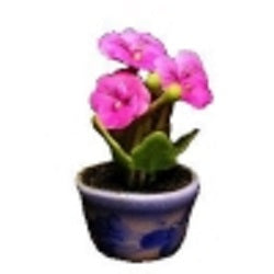 Pink Pansies in Blue Design Pot