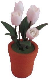 White Tulips in Clay Pot