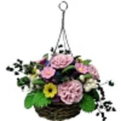 Pink Carnations in Hanging Basket