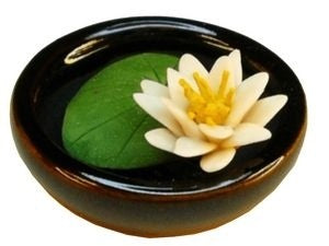 White Water Lily in Bowl