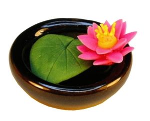 Pink Water Lily in Bowl