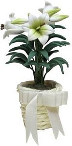 Easter Lily in Basket with Bow