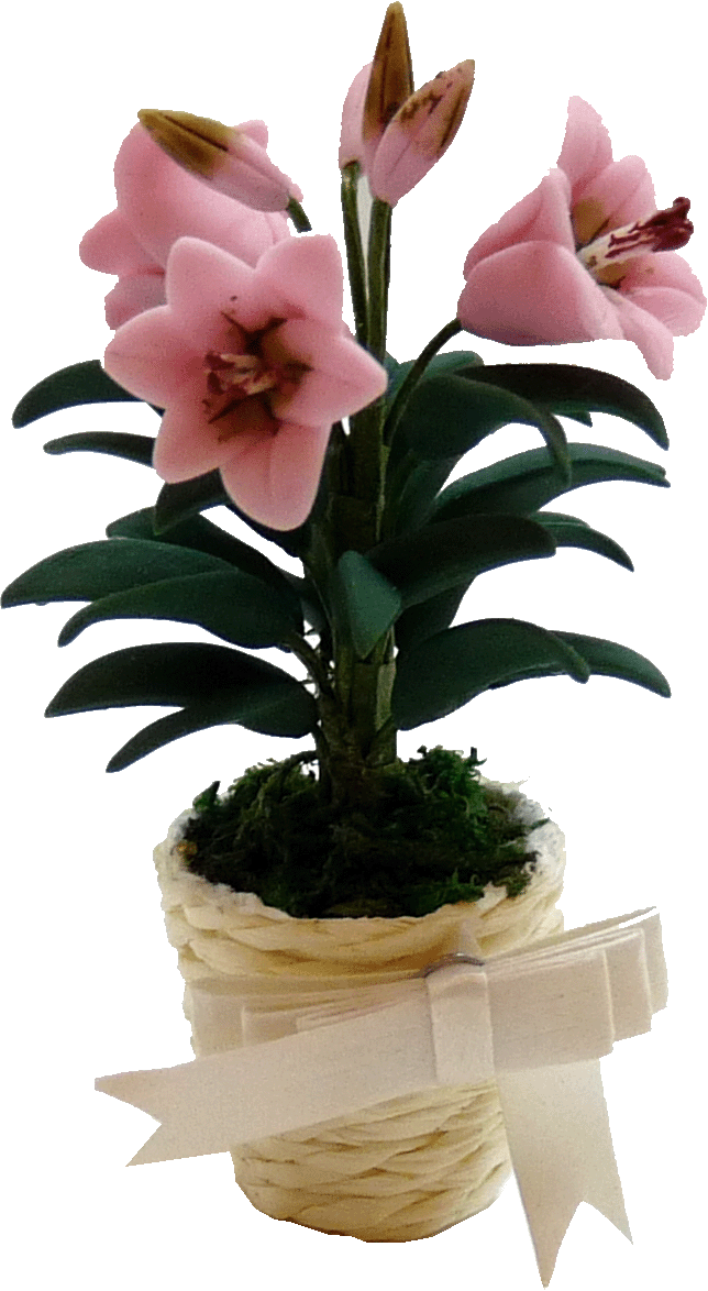 Pink Easter Lily in Basket with Bow