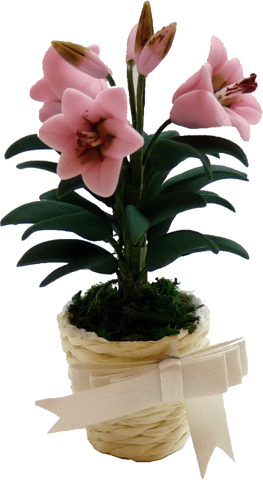 Pink Easter Lily in Basket with Bow