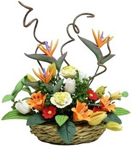 Bird of Paradise in Basket