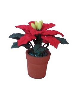 Red Poinsettia in Clay Pot