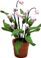 Pink Lilly of the Valley in Clay Pot