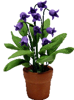 Lavender Lily of the Valley in Clay Pot