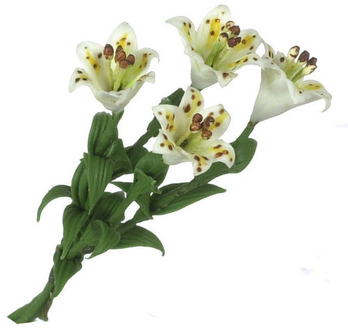 Tiger Lily, White, 1pc