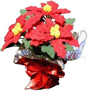 Red Poinsettias with Red Foil Wrap