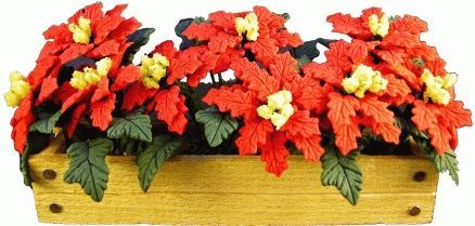 Red Poinsettias in a Wooden Window Box