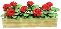 Red Geraniums in Window Box