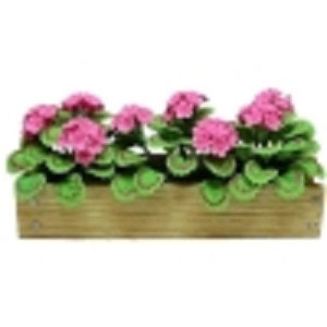 Pink Geraniums in Window Box