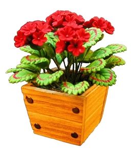 Red Geraniums in Square Planter