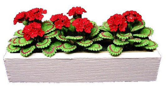 Red Geraniums in White Window Box