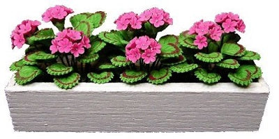 Pink Geraniums in White Window Box
