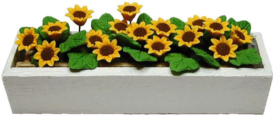 Sunflowers in White Window Box