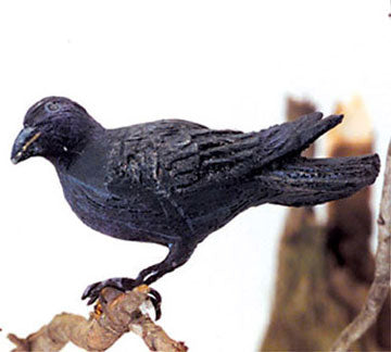 American Crow