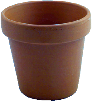 Terra Cotta Pot