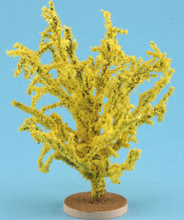 Forsythia Bush, Large