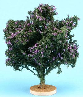 Lilac Bush, Small