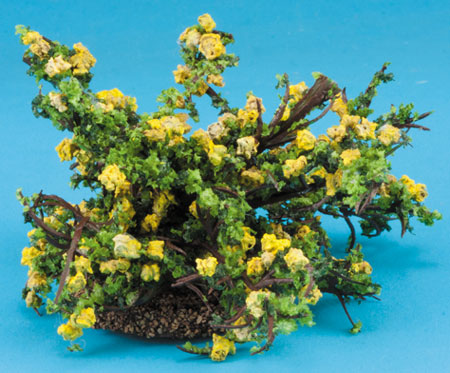 Small Rose Bush, Yellow