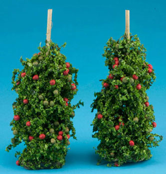 Tomato Plant, 2pc