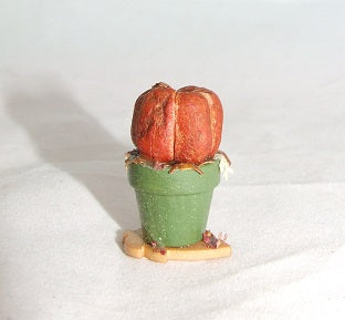 Pumpkin Pot