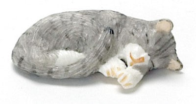 Curled Up Cat Sleeping, Grey Tabby