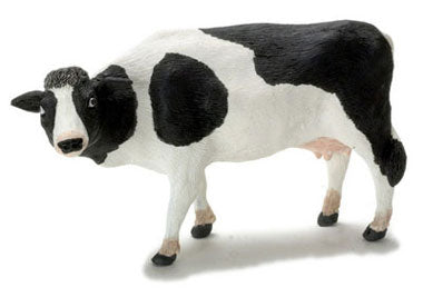 Cow, Black & White