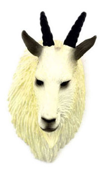 Mountain Goat Head