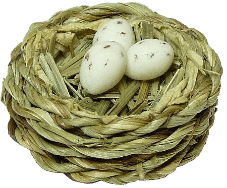 White Eggs in Bird Nest