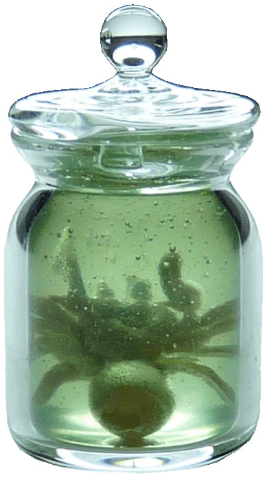 Giant Spider in Glass Jar