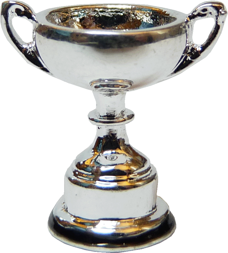 Trophy Cup, Silver