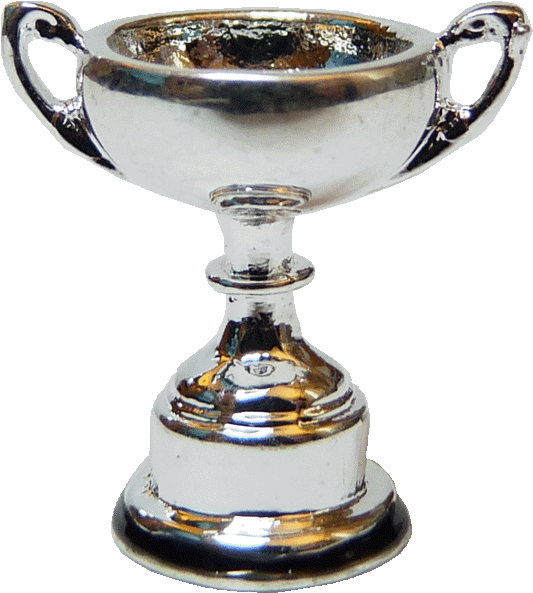 Trophy Cup, Silver