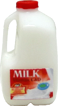 Milk Jug, Gallon