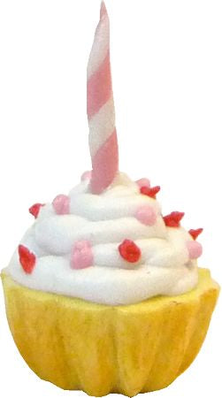 Cupcake with 1 Candle