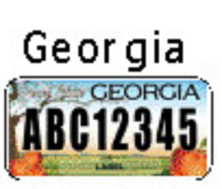 Georgia License Plate